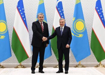 Глава МИД Казахстана встретился с президентом Узбекистана