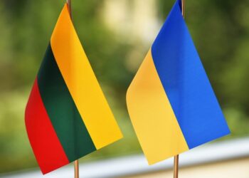 Украинский боевой беспилотник упал на территории Литвы