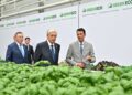 Глава государства посетил тепличный комплекс GREEN ECO