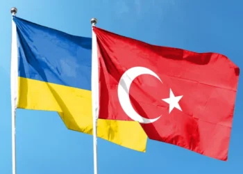 Турецкая политическая партия Vatan потребовала прекратить оказание военной помощи Киеву