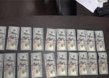 В области Улытау полицейские задержали директора одного из предприятий по подозрению в даче взятки