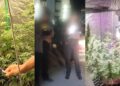 В Астане в рамках ОПМ «Қарасора» пресечена деятельность фитолабораторий